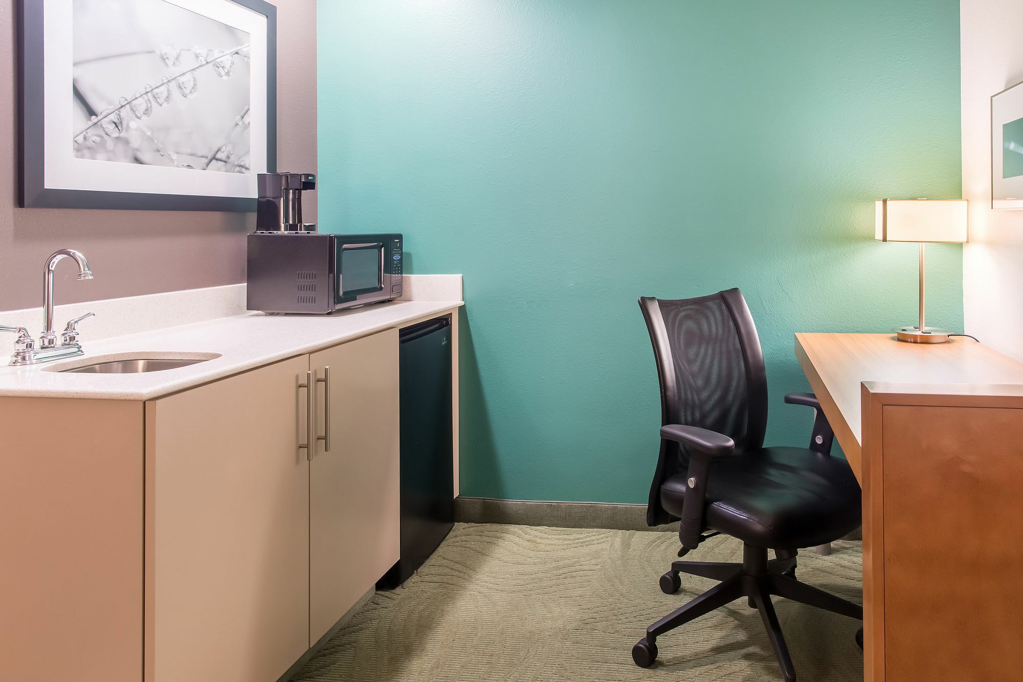 Springhill Suites By Marriott Memphis East Galleria מראה חיצוני תמונה