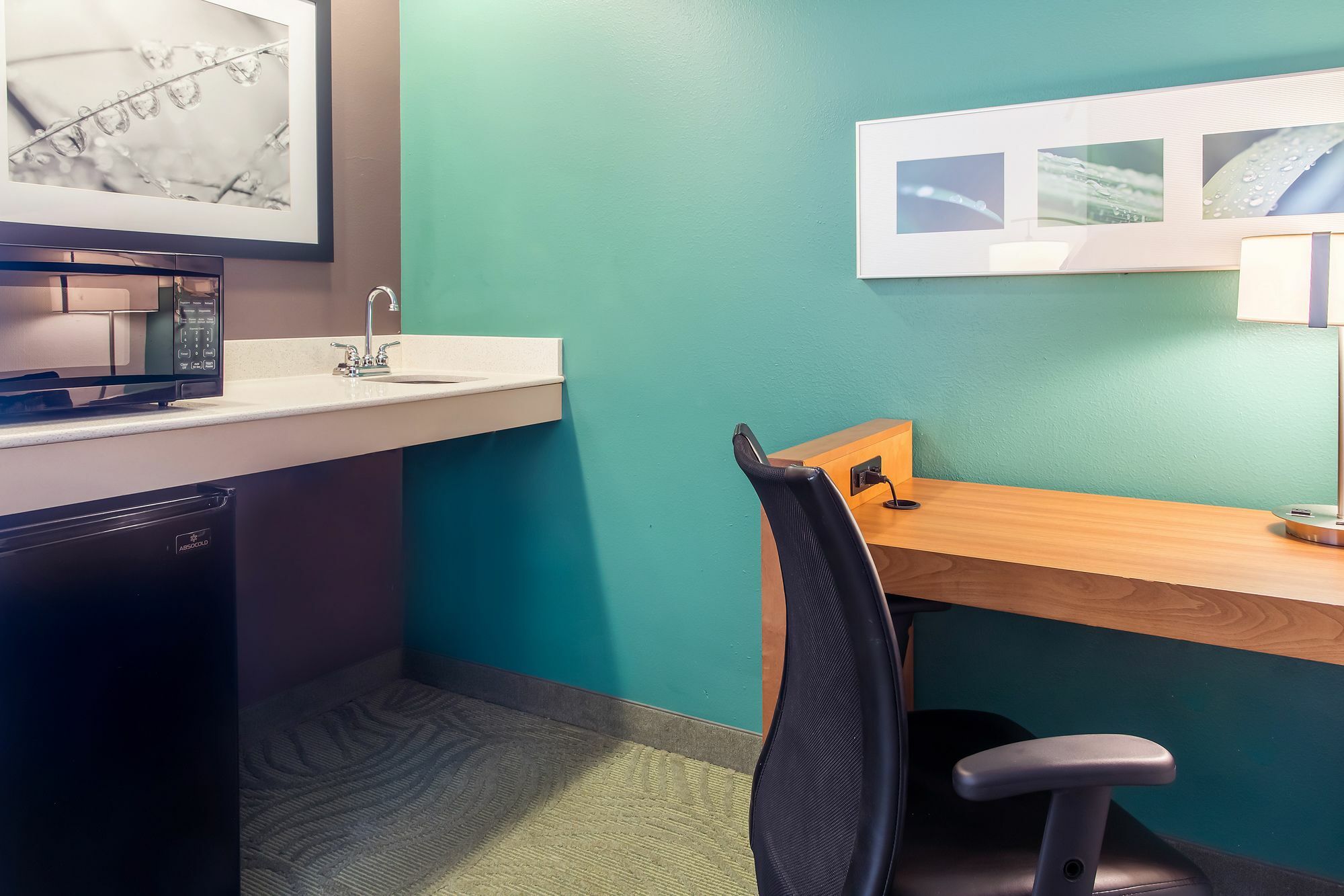 Springhill Suites By Marriott Memphis East Galleria מראה חיצוני תמונה