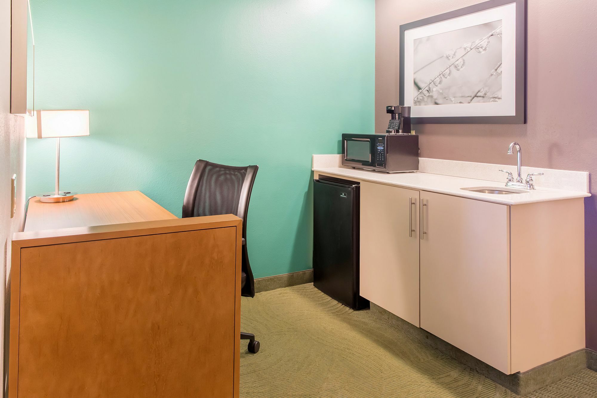 Springhill Suites By Marriott Memphis East Galleria מראה חיצוני תמונה